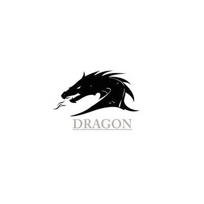 OLMOT DRAGON 40x1,1X4005 ROH